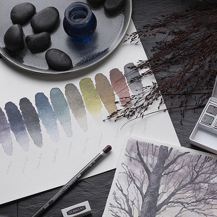 Image du produit Derwent Graphitint 12 pan set (Blanc)