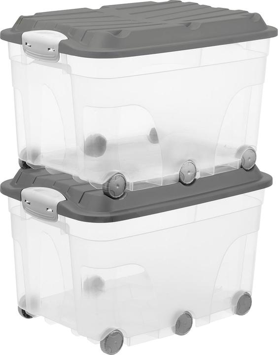 Transparent & Anthracite