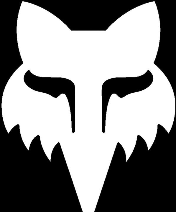 Image du produit Fox STICKER 23 F-HEAD 4" - DIE CUT VINYL