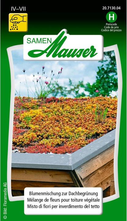 Produktbild Samen Mauser Blumenmischung zur Dachbegrünung (Pflanzensamen)