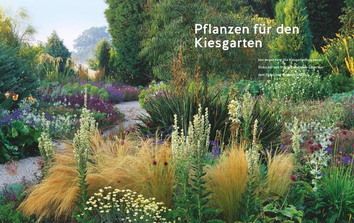 Productafbeelding Blütenpracht ohne Giessen (Duits, Bernd Hertle, 2023)