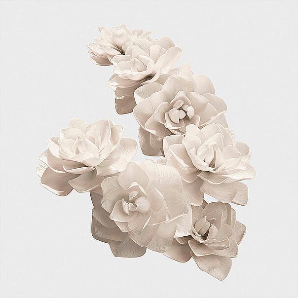 Produktbild Burberry Her Elixir de parfum (Eau de Parfum, 30 ml)