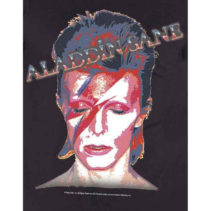 Produktbild David Bowie Aladdin Sane TShirt (XL)