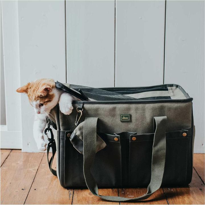 Actual product image Hunter Madison (Dog, Can be opened completely)