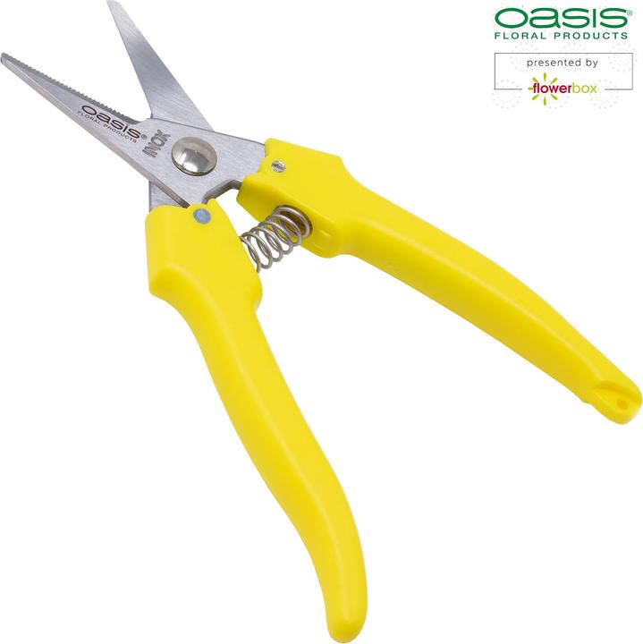 Produktbild Oasis Blumenschere (17 cm)