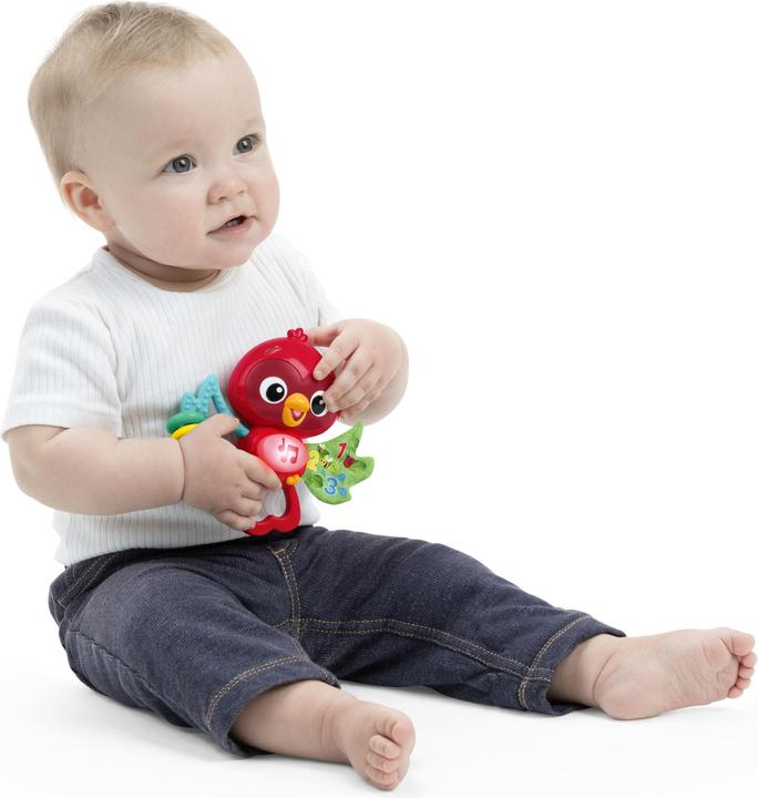 Actual product image Baby Einstein Roxy's Bright Flight™ Musical Toy