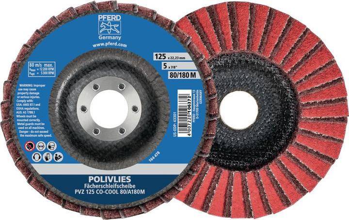 Actual product image Pferd Fächerschleifscheibe (80, 100)
