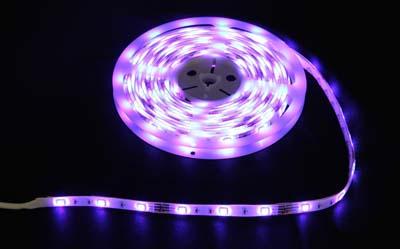Image du produit Globo Bande LED Bande LED (RGBW, 300 cm, Intérieur)
