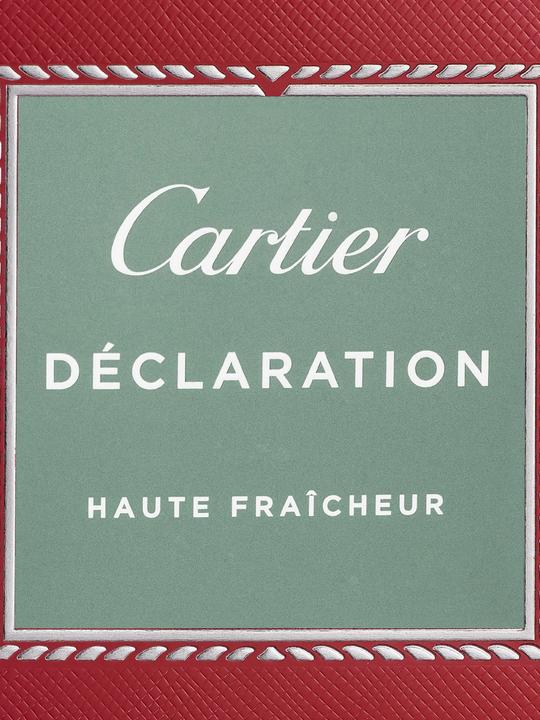 Immagine prodotto Cartier Declaration (Eau de toilette, 100 ml)