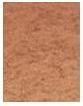 Actual product image Bourjois Ombre Á Paupiéres (10 Doré Olé)