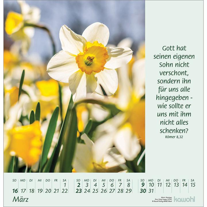 Produktbild Blumengrüsse 2025 (30 x 31 cm, Harter Einband, Deutsch)