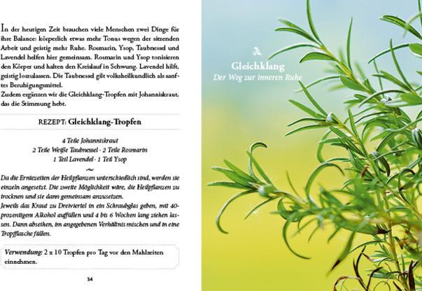 Actual product image Das kleine Buch: Vergessene Hausmittel (German, Karin Buchart, 2024)