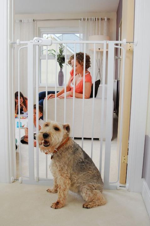 Image du produit Bettacare Porte pour animaux avec chatière (75 cm)
