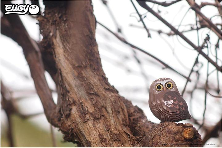 Image du produit Eugy Hibou