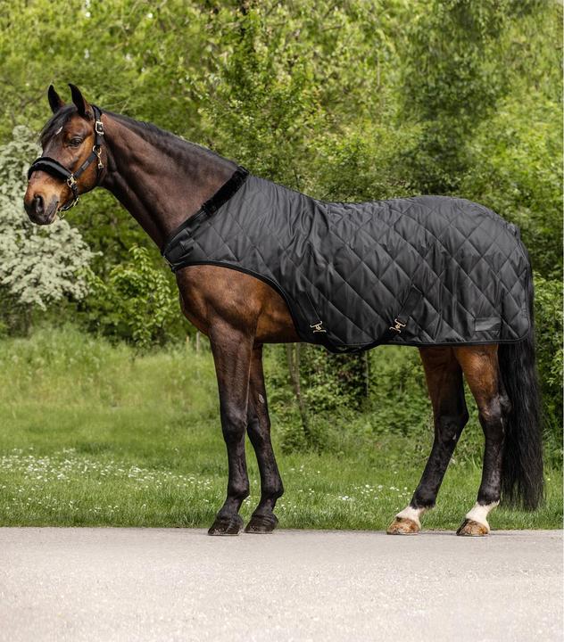 Waldhausen Exclusive (135 cm)