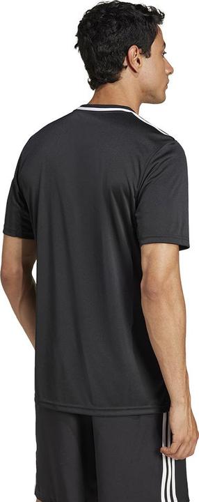 Image du produit adidas Maillot Campeon 25 (L)
