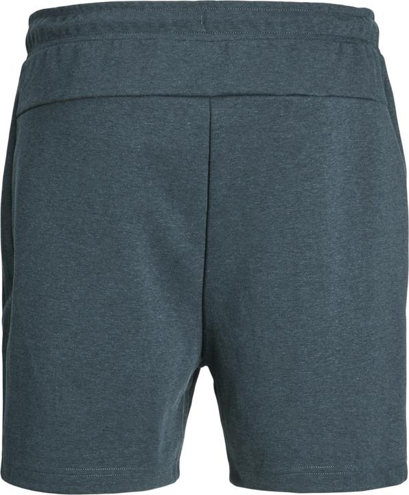 Immagine prodotto Jack & Jones Regular Fit Regular Fit Shorts Regular Fit Shorts (XS)