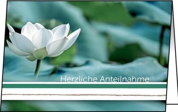 Sigel 10 Trauerkarten Water Lily DIN A6 (220 g/m², 10 x)