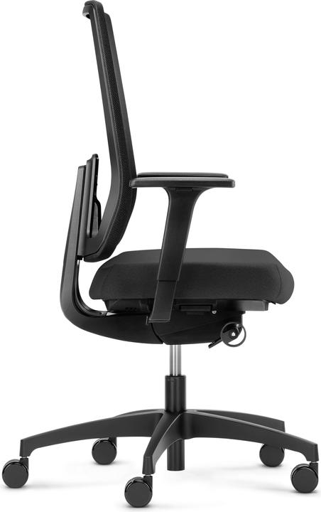 Dauphin 7056 SLP