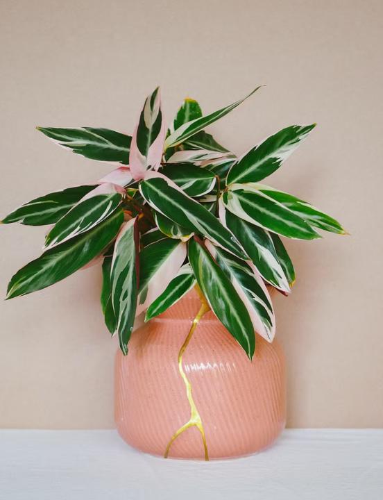 Image du produit Mora Approved Kit de réparation DIY Kintsugi