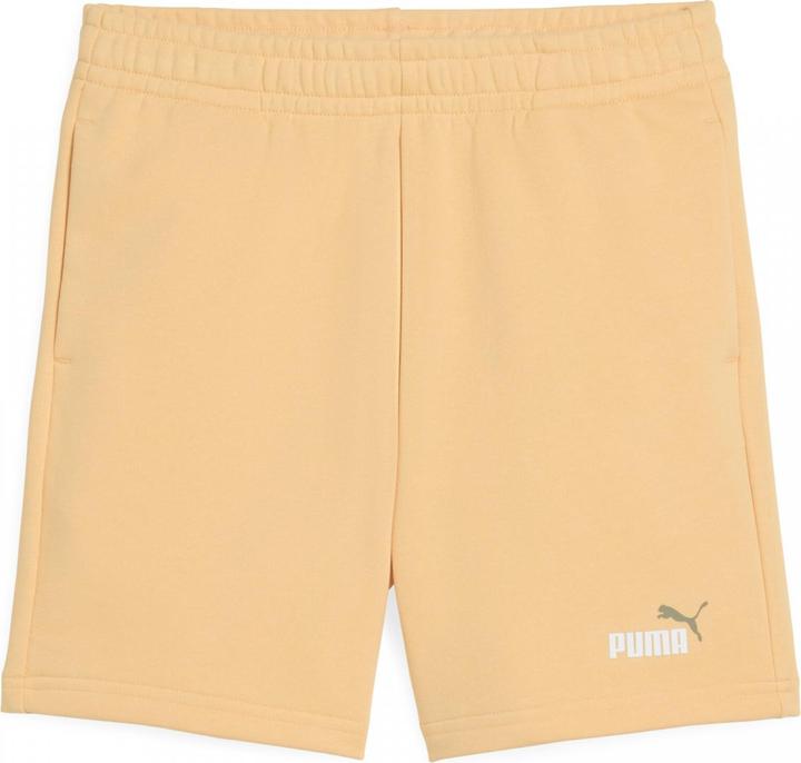 Actual product image Puma ESS 2 COLOR No. 1 Logo Shorts TR B (164)