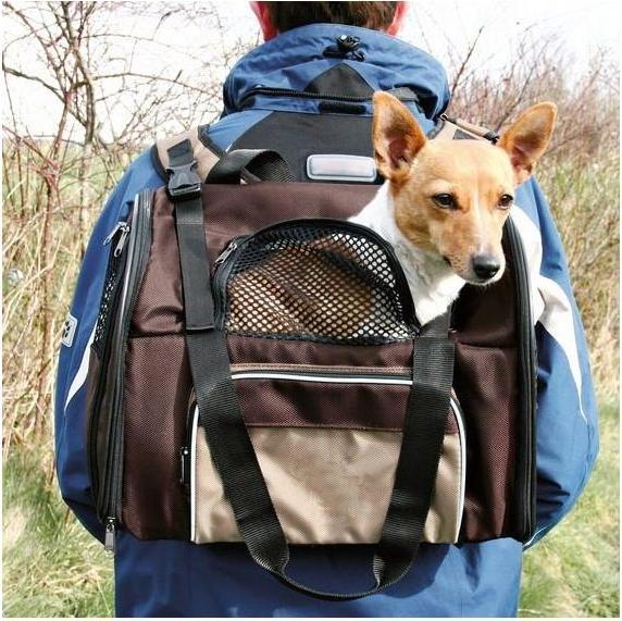Produktbild Trixie Shiva (Katze, Hund, Sicherheitsverschluss)