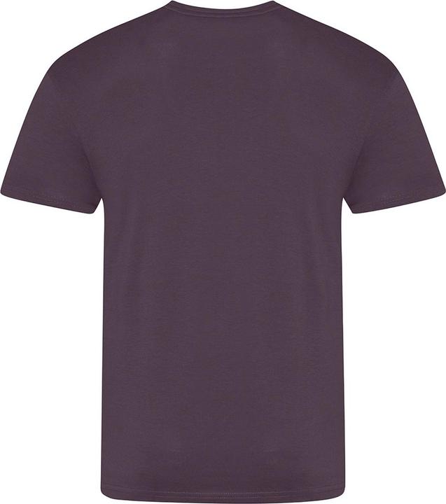 Actual product image Awdis The 100 Tshirt (XL)