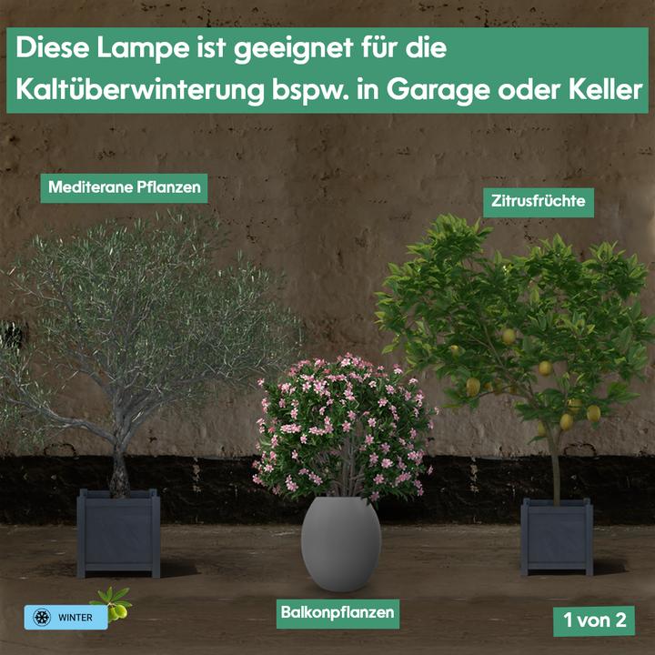 Actual product image Parus by Venso plant fitting GrowLight Quattro 30W, stimulation of photosynthesis and chlorophyll fo (LED, 245 V)
