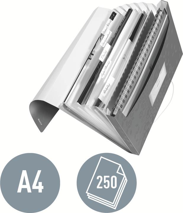 Productafbeelding Leitz Waaiermap A4 Wow rood (A4, 1 x)