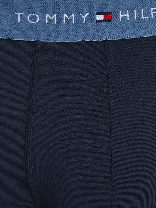 Actual product image Tommy Hilfiger WB Trunk (L, pack of 3)