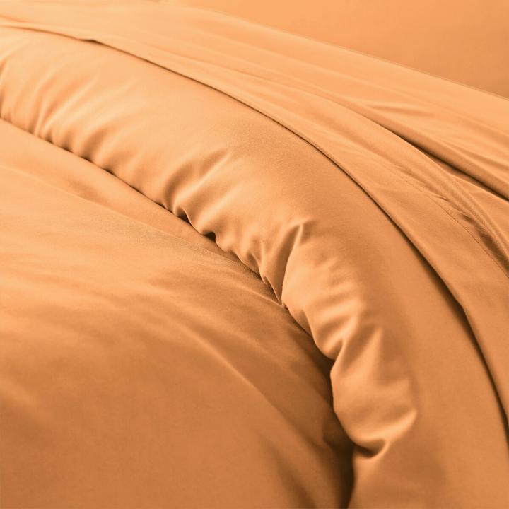 Actual product image La Redoute Interieurs Scenario Coton (240 x 220 cm)