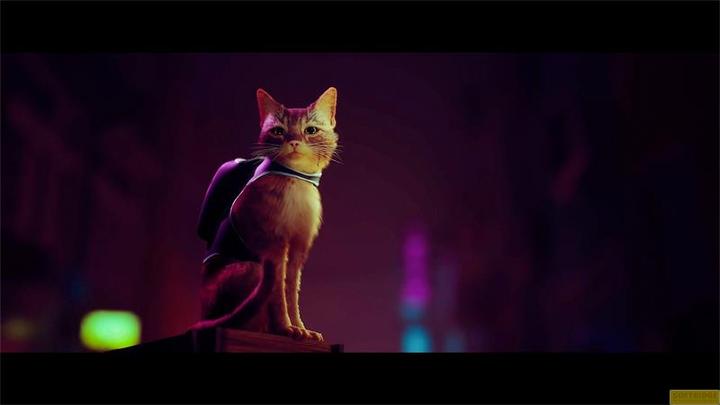 Produktbild Skybound Stray (Xbox One S, Xbox One X, Xbox Series X, DE)