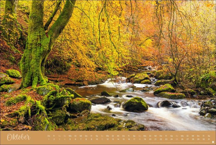Actual product image Zauberwälder Edition Kalender 2026 (Hardcover, German)