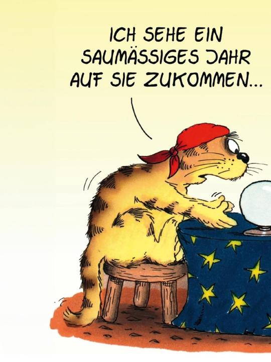 Produktbild Uli Stein Terminplaner 2025: Taschenkalender (Deutsch)