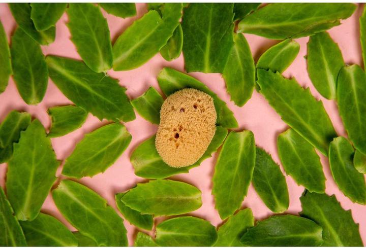 Produktbild Hera Organics Menstruationsschwämme (3 x, Normal)