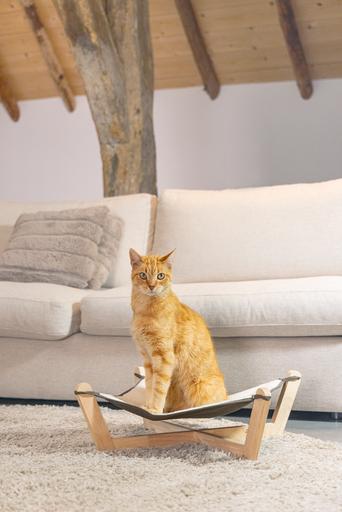 Immagine prodotto Designed by Lotte Gaia (Gatto)