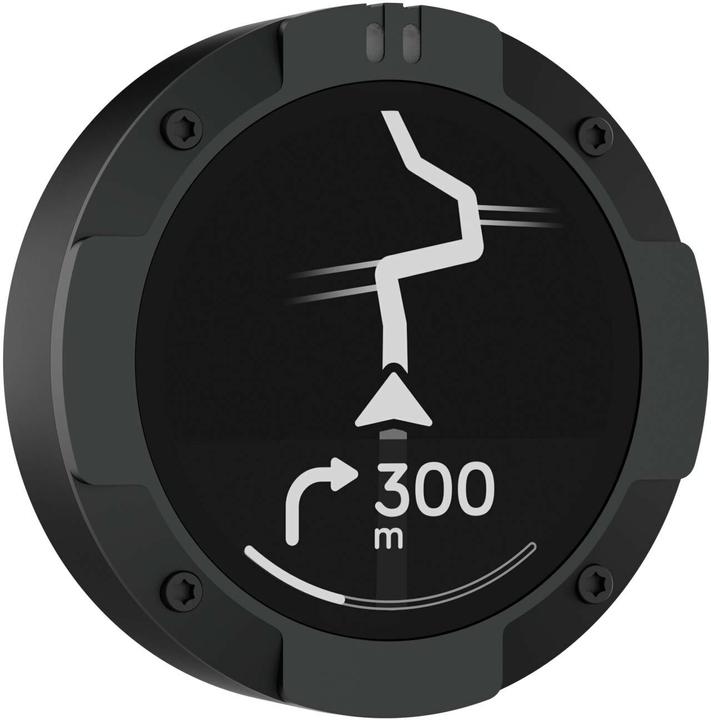 Beeline Moto 2 (1.45")