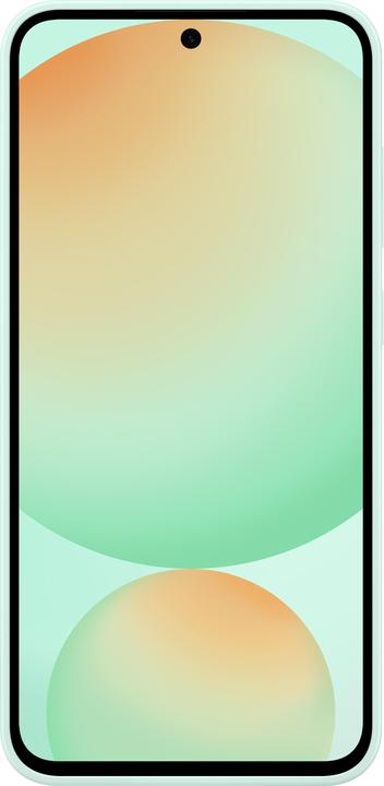 Immagine prodotto Samsung Silicone Case (Samsung Galaxy S24 FE)