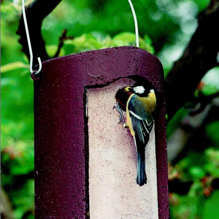 Actual product image Schwegler Nesting hole