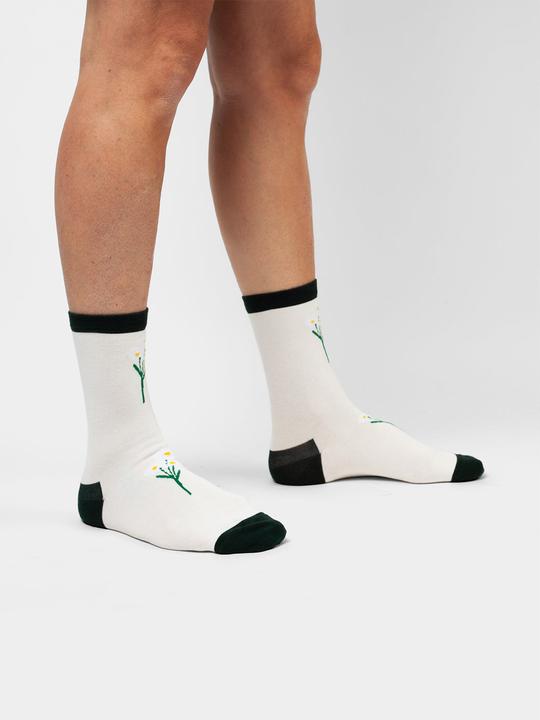 DillySocks Delighted Daisies (Einzelpack, 35 - 38)