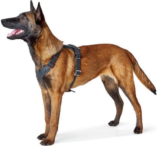 Actual product image Hunter Tableware Aalborg (M, L, Dog, General)