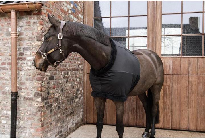 Actual product image Kentucky Horsewear Chest protector