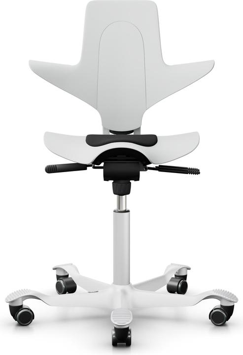 HAG Capisco Puls 8010