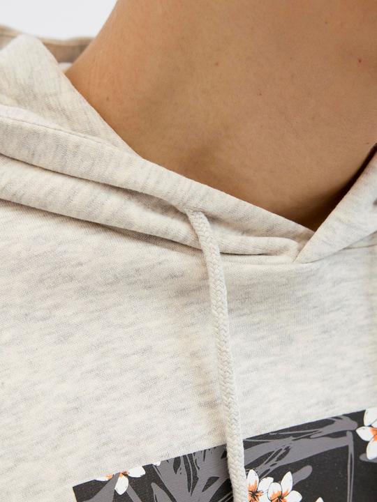 Image du produit Jack & Jones Logo Sweat à capuche Sweat à capuche (XXL)