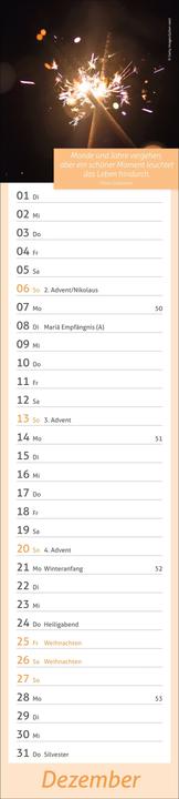 Image du produit times&moreTagevollerGlückLangplaner2026 (11 x 49 cm, Allemand)