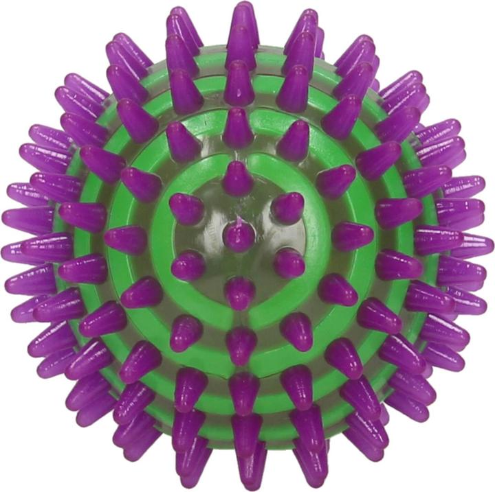 Actual product image Van Manen Veenendaal Jumping Bumblebee Spikey with Light