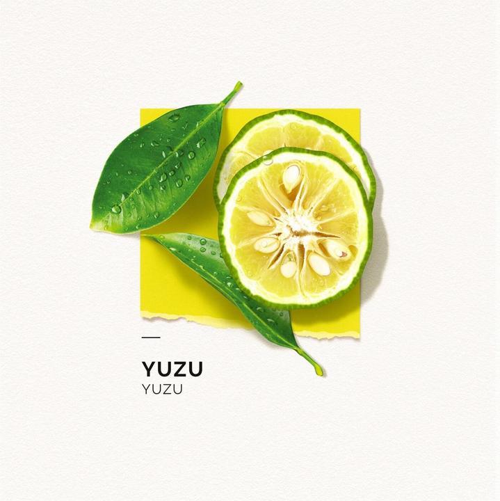 Actual product image Solinotes Paris Solinotes - Yuzu Eau De Parfum (Eau de parfum, 50 ml)
