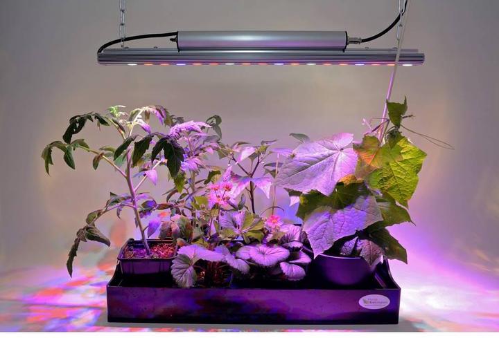 Produktbild Parus by Venso GrowLight Quattro (LED, 230 V)
