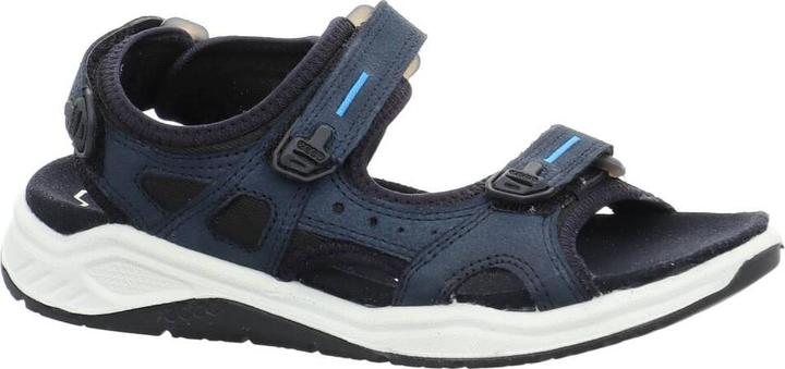 Ecco X trinsic