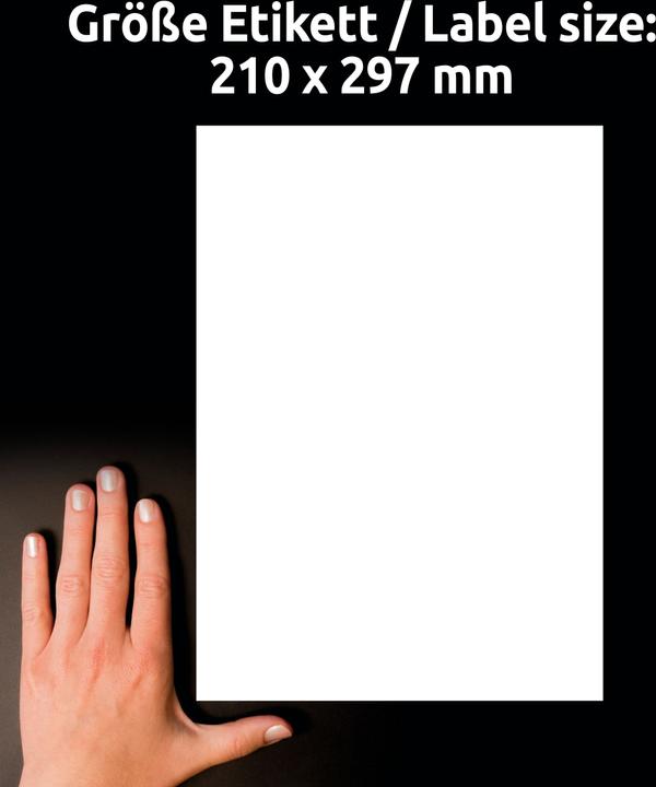 Image du produit Avery AVZ L8001-10 Étiquettes antimicrobiennes 210x297mm blanc